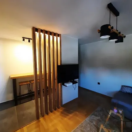 Pleasure Lux Apartament